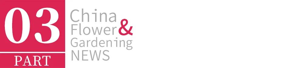 园艺电商怎么做好营销工作,园艺电商怎么做好营销