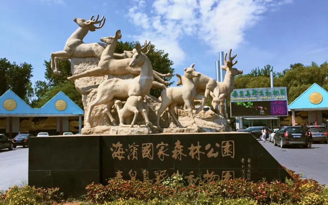 这么近那么美周末到河北去哪里玩,河北省小众宝藏旅行地一日游
