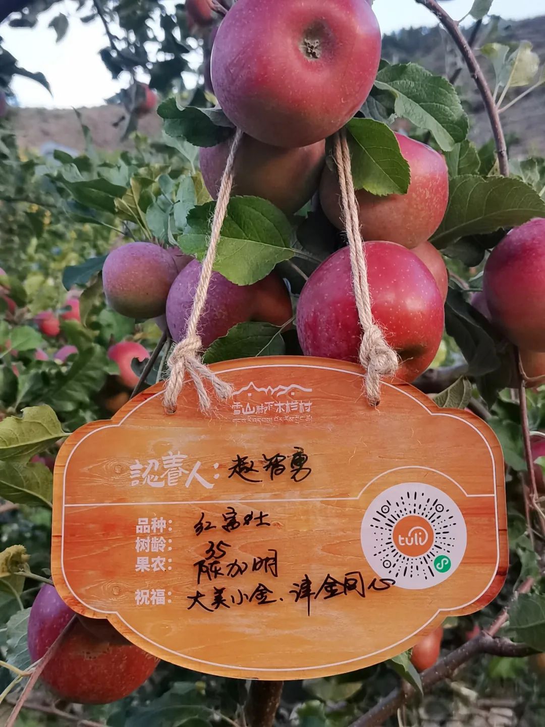 途远集团携手Bizworld硅谷少年财商营，走进“雪山脚下木栏村”