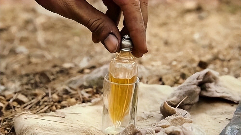 辣条油真实事件,辣条是不是用死人的地沟油做成的