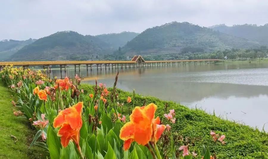 广西旅游精品线路,广西文旅旅行路线