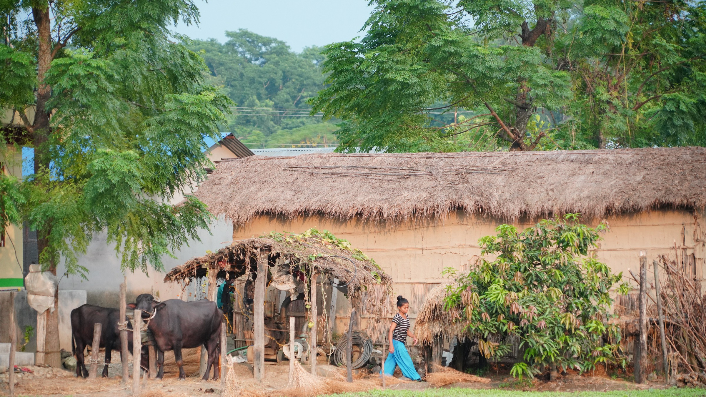 云中鹤游学,云中鹤户外