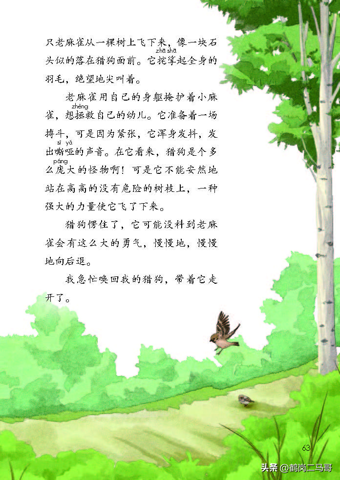 暑假预习资料小学,四年级下册语文课本第17课预习