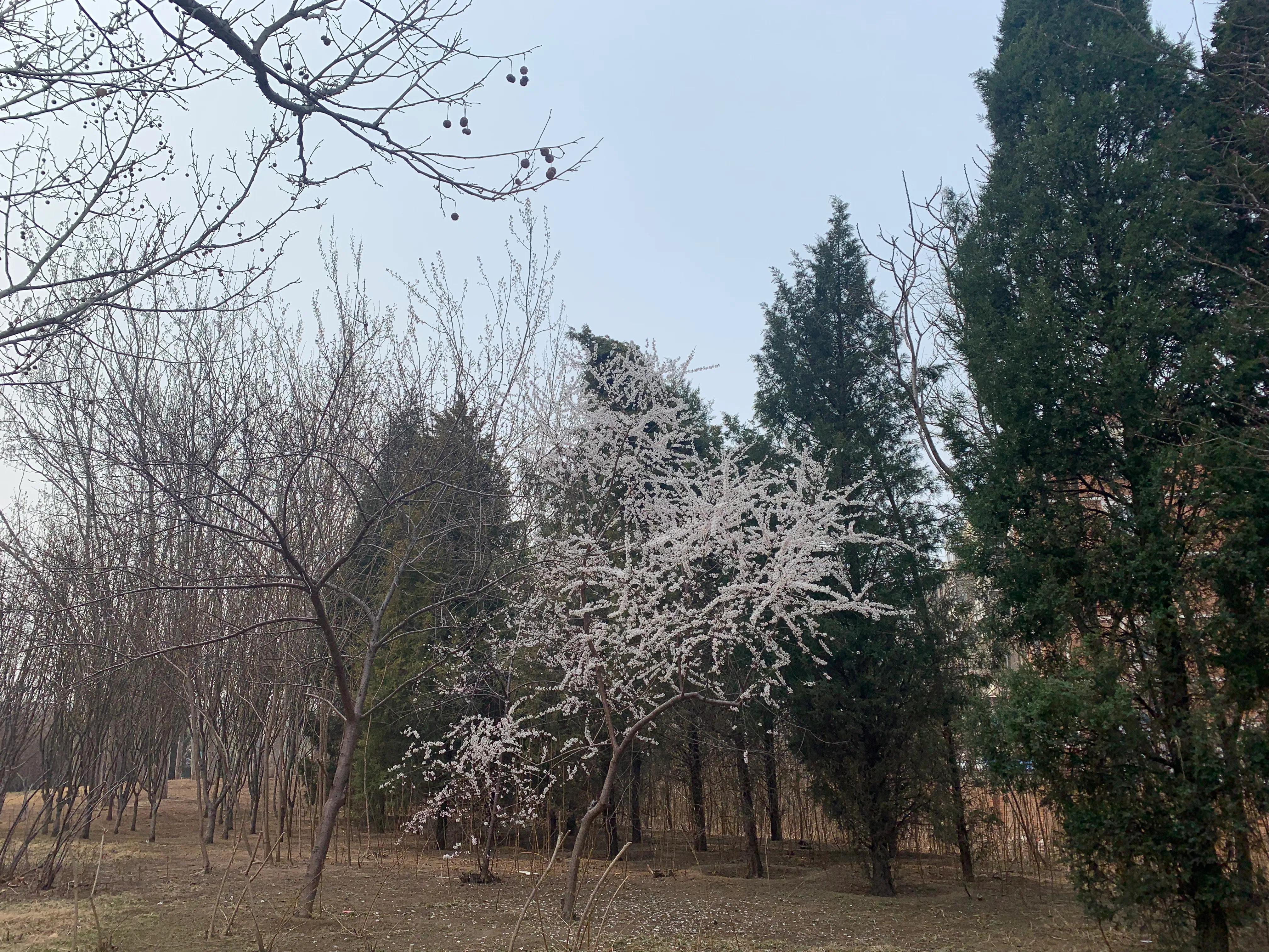 打卡天津博物馆,打卡天津意式风情区