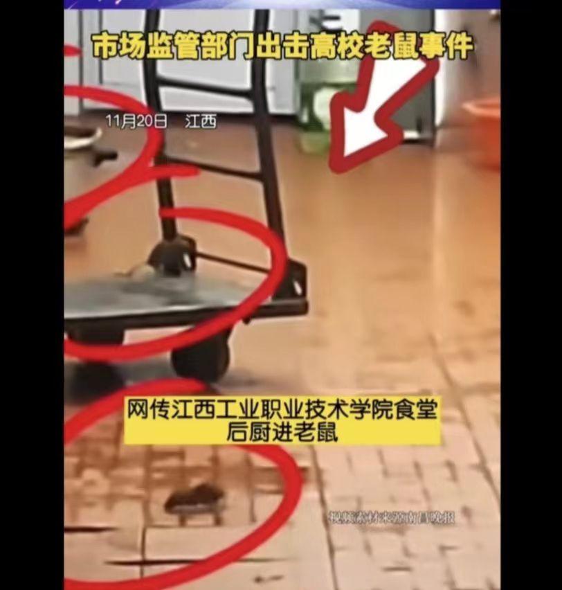 闹大了！“老鼠头事件”，教育厅出马，会不会有人已经瑟瑟发抖？