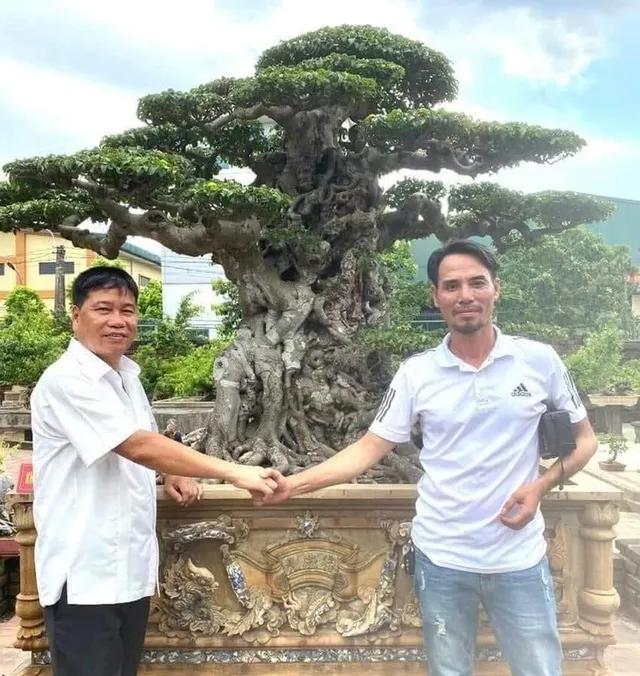 2007年他在越南购买了一棵300年古树，11年后卖出815万