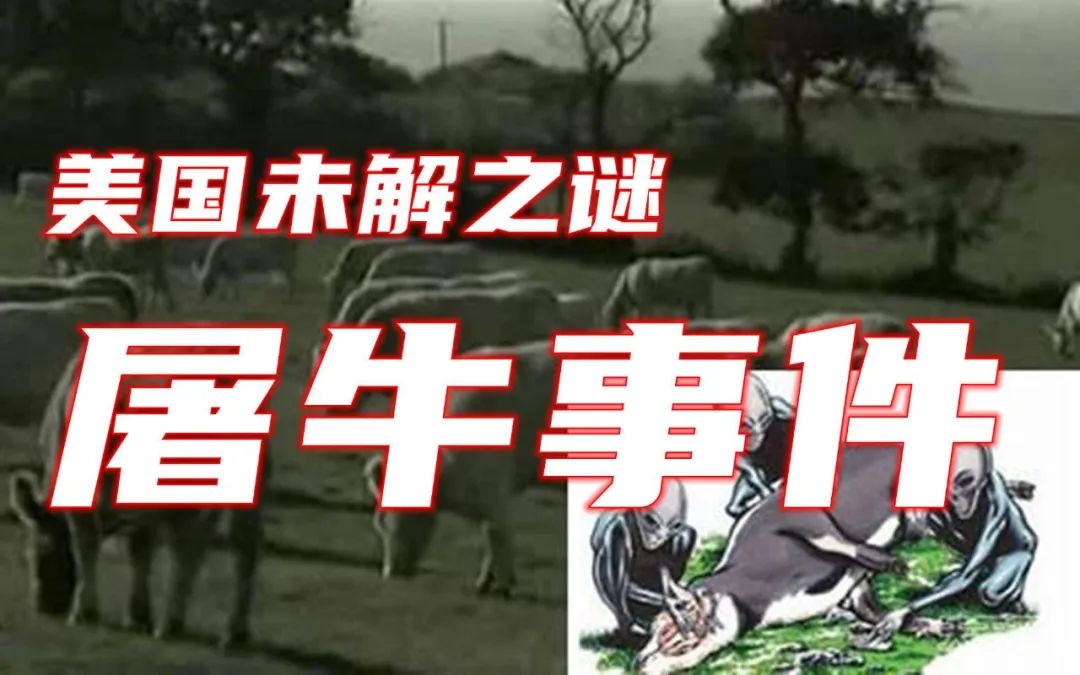 摩纳哥vs埃因霍温,摩纳哥vs埃因霍温欧冠