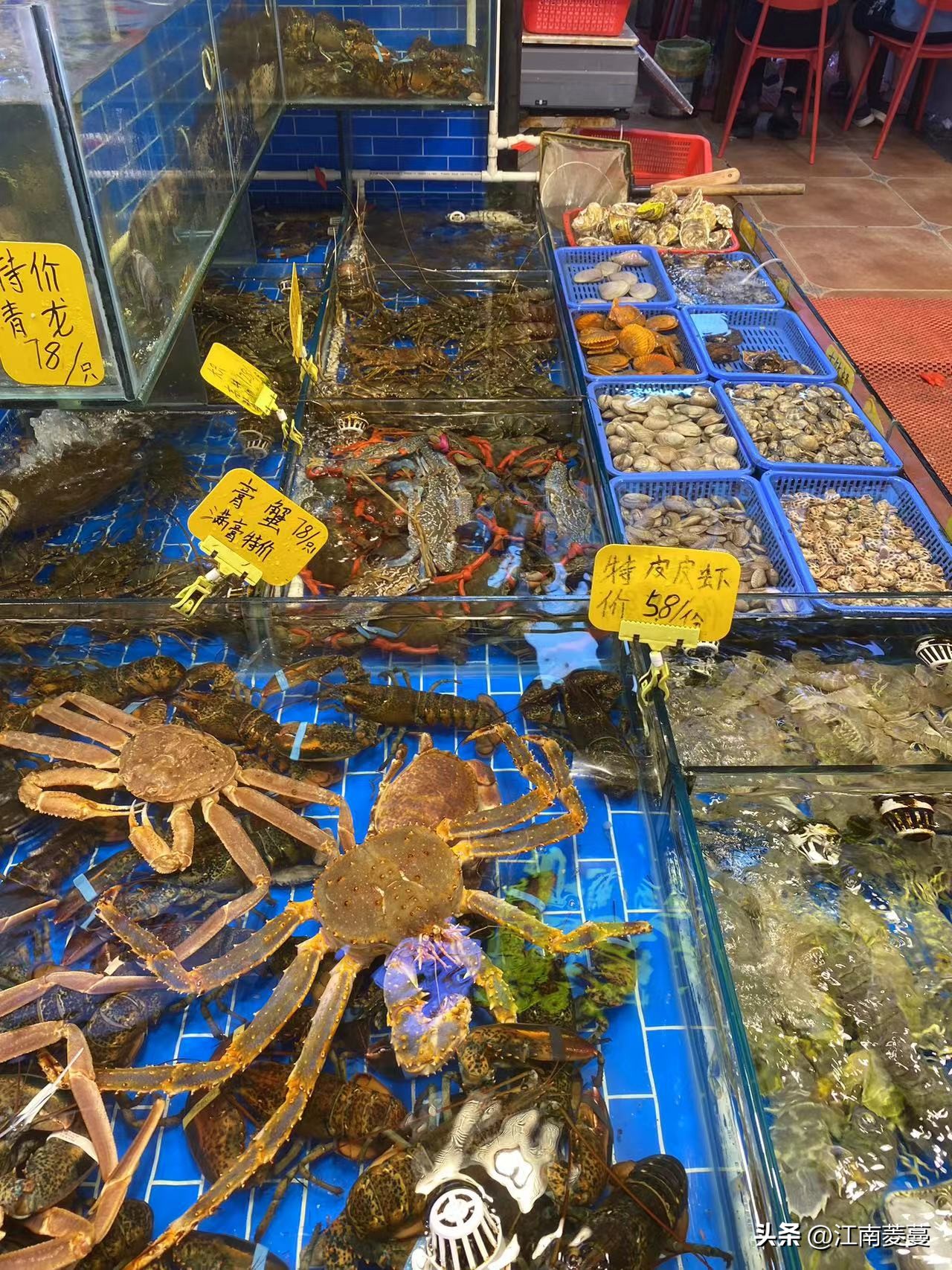 为什么那么多人选择去厦门旅游,浙江海岛和厦门哪里值得去