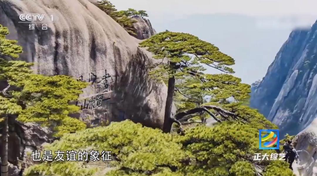 中国的世界文化遗产震撼视频,中国世界文化遗产你打卡过几个