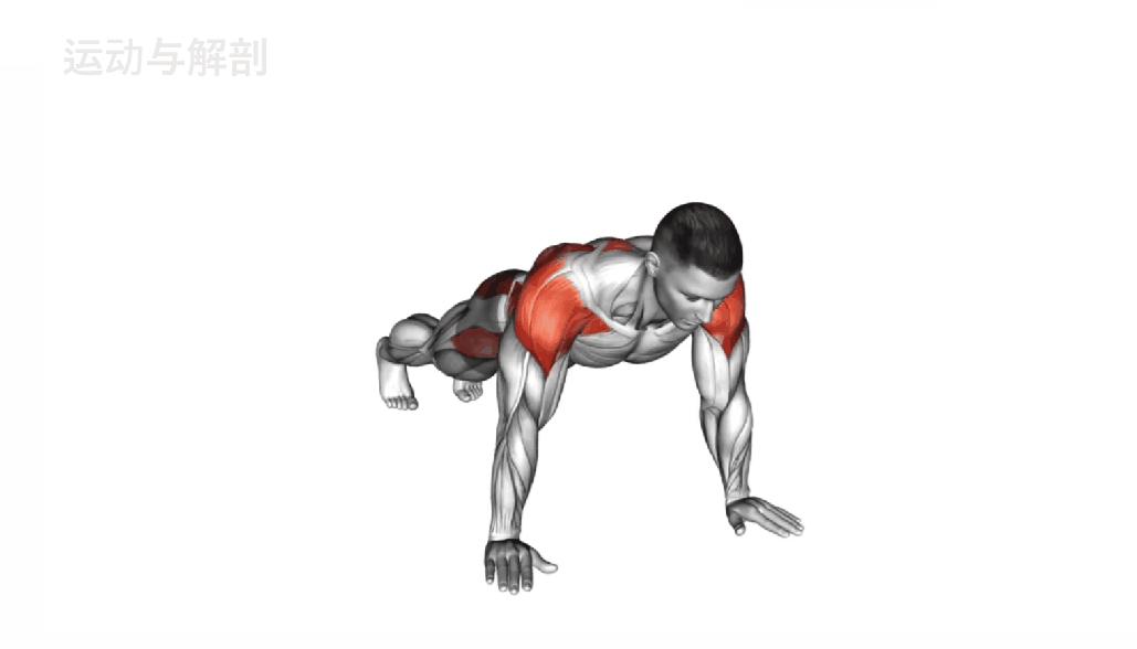 居家健身无器械加拉伸,塑形健身教程步骤图解图片卡通版