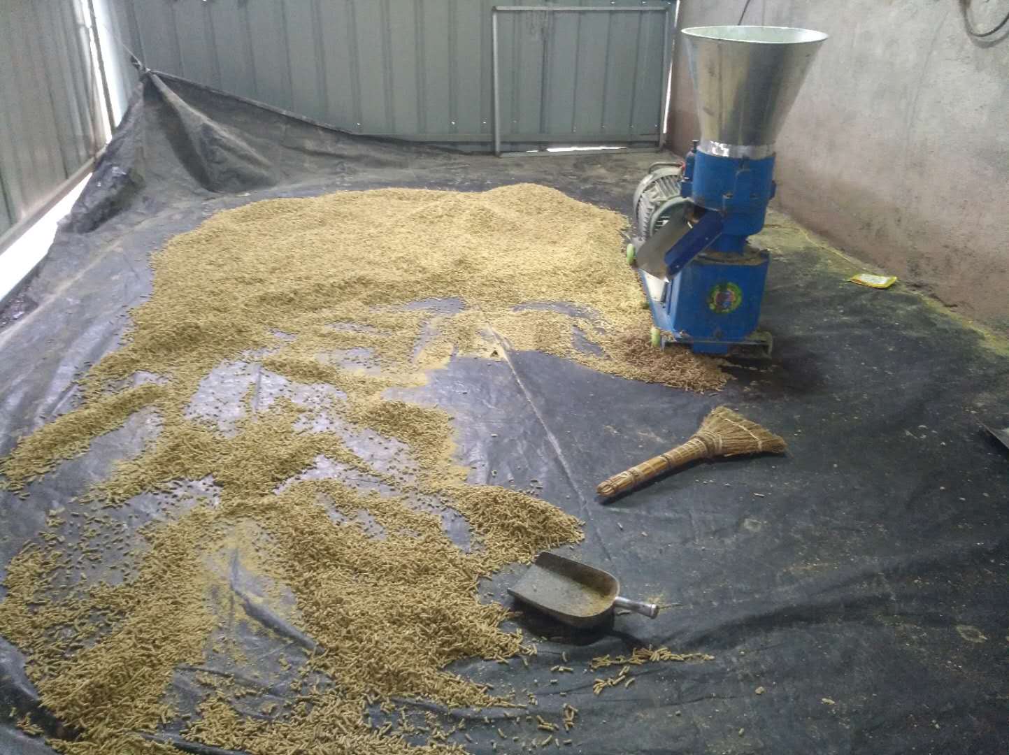 养鸭怎么养才能养好,养小鸡怎么养