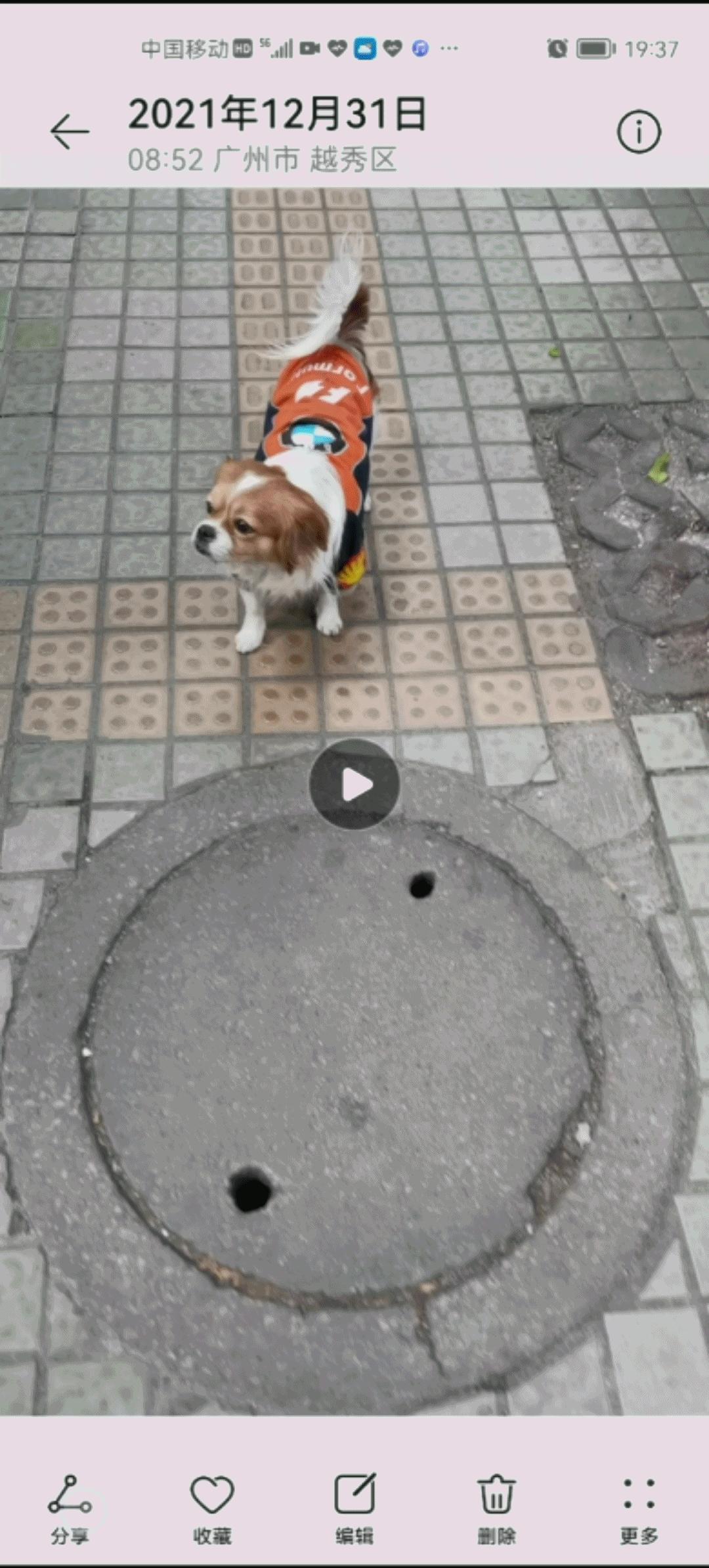 怎么关闭流量自动连接,怎么关闭流量语音共享的功能