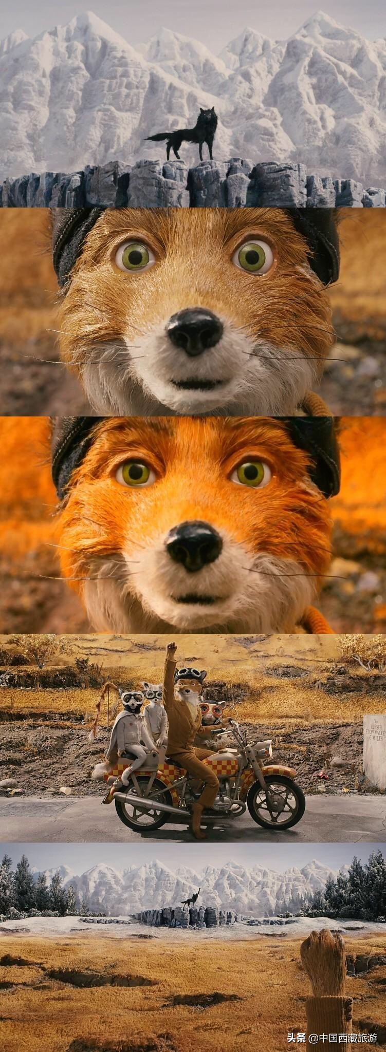 藏西秘境在阿里,阿里地区藏西秘境在哪里