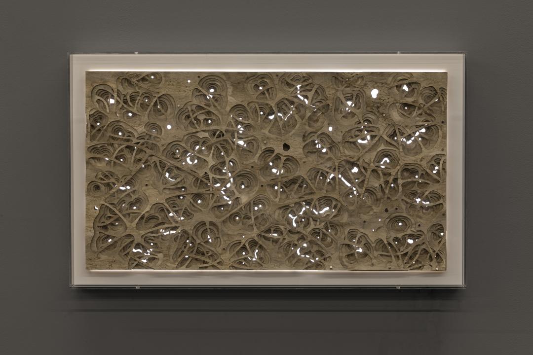 巨川,你好!|艺术栗子