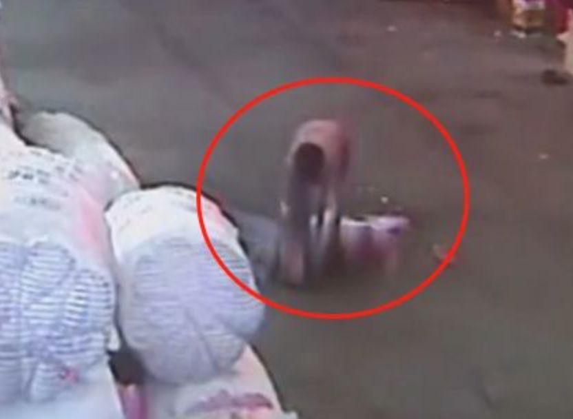 普京离婚了么,普京什么时候和卡巴耶娃在一起的