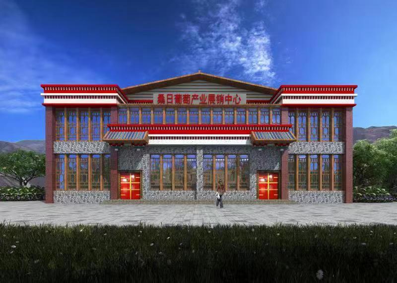 小葡萄串起乡村振兴大梦想,桑日县葡萄