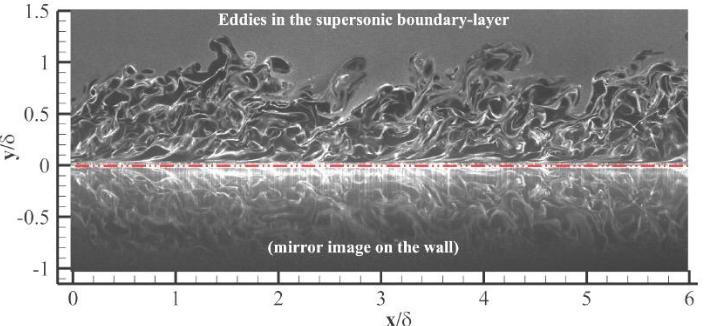 激波和紊流边界层，相互作用中的湍流放大现象