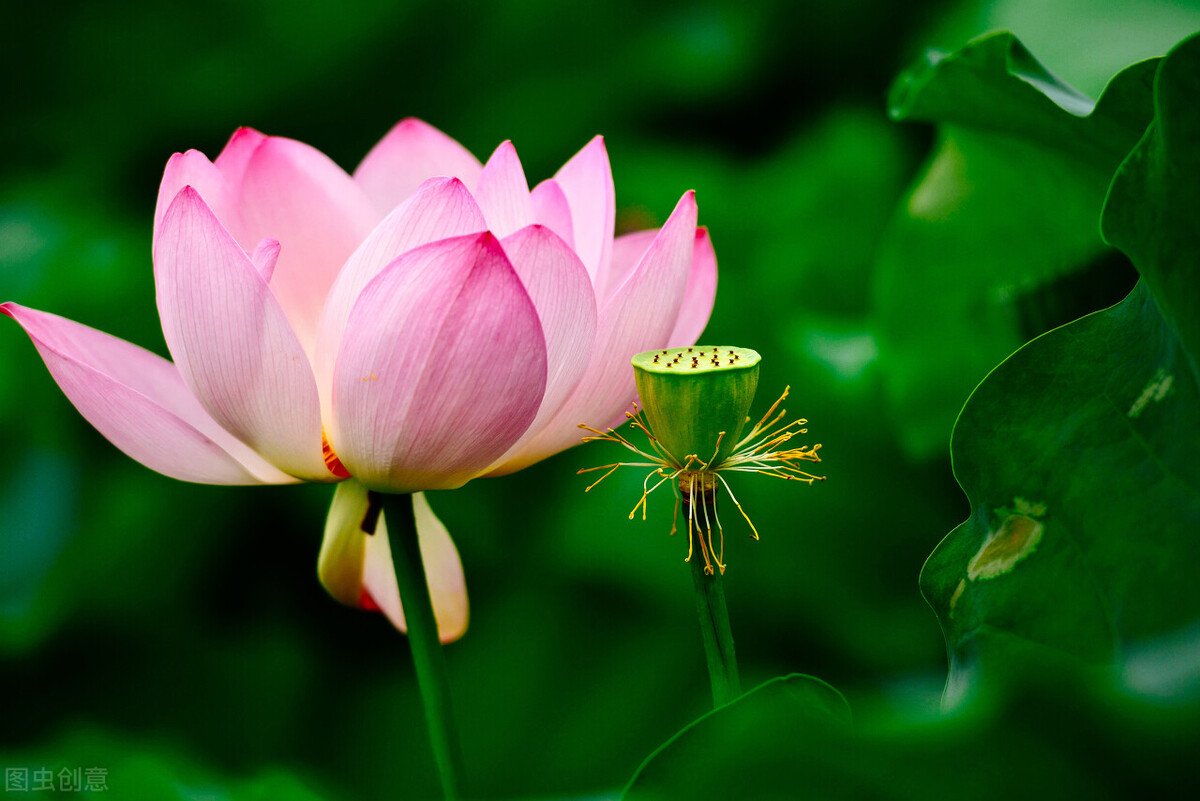 用护肤品皮肤有刺痛感怎么回事,换护肤品后皮肤有刺痛感