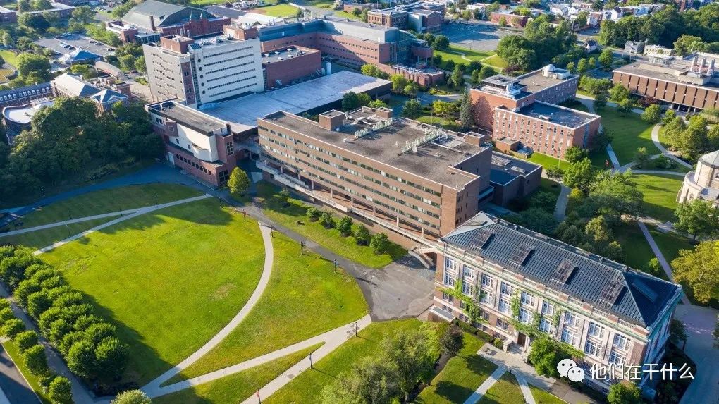 为什么拍护照照片时不能笑？清洁工误拔电源损毁高校20年研究成果