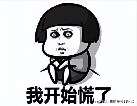 在网上买哪里的狗狗便宜又好,网上买的狗不到一个星期就病了