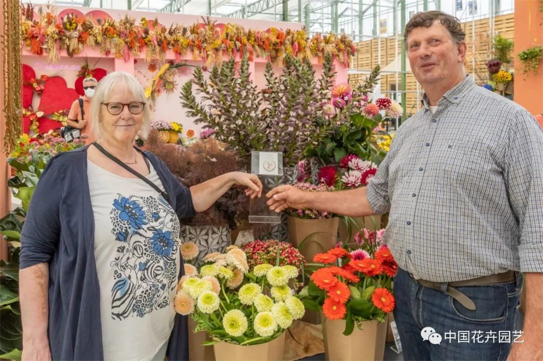 疫情再次激发人们对康乃馨的兴趣荷兰Floriade夏季花卉奖公布|每周国际花讯