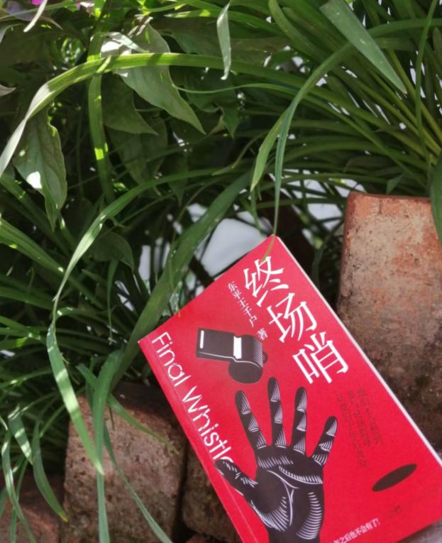 足球史上最黑暗的黑哨,足球史上最严重的黑哨事件