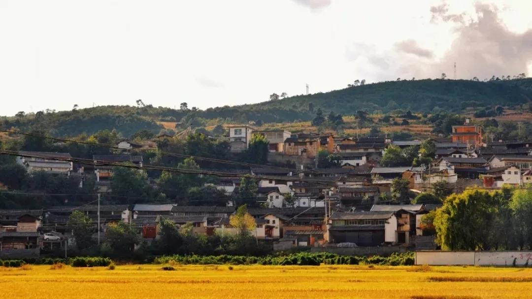 九河沿岸的历史,九河蜿蜒源远流长