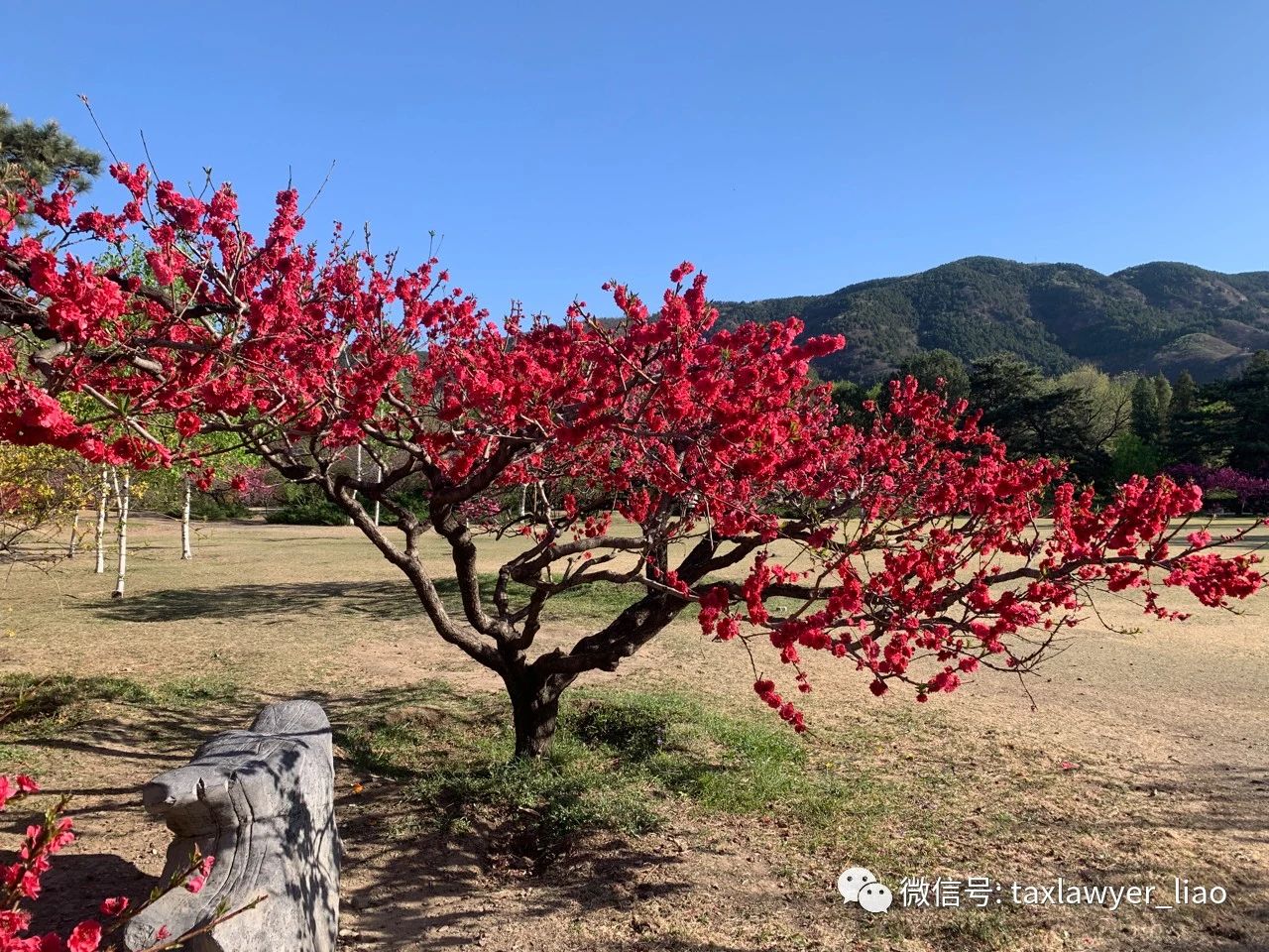 计税依据明显偏低但有正当理由,计税依据明显偏低的正当理由