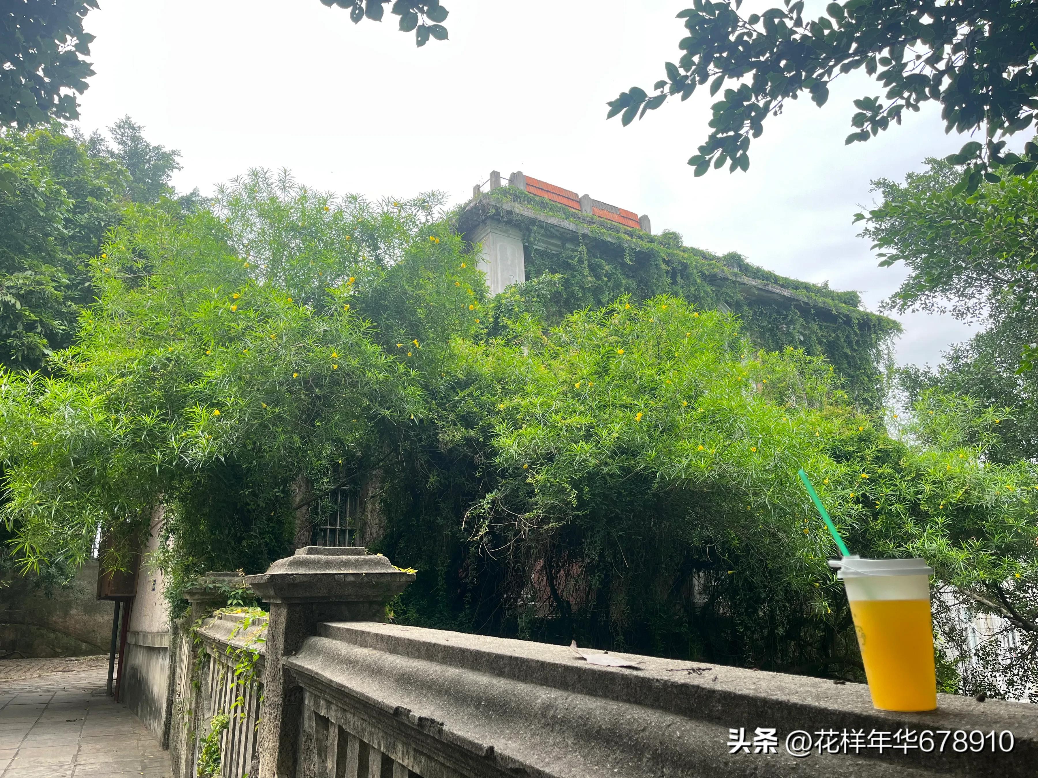 美丽的鼓浪屿鹭岛游艇夜游,美丽的厦门鼓浪屿海边沙滩风景