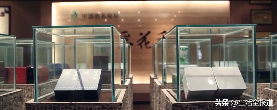 深化对口帮扶||*花采**毛尖：名不虚传的湖北名茶！一盏名茶满口留香