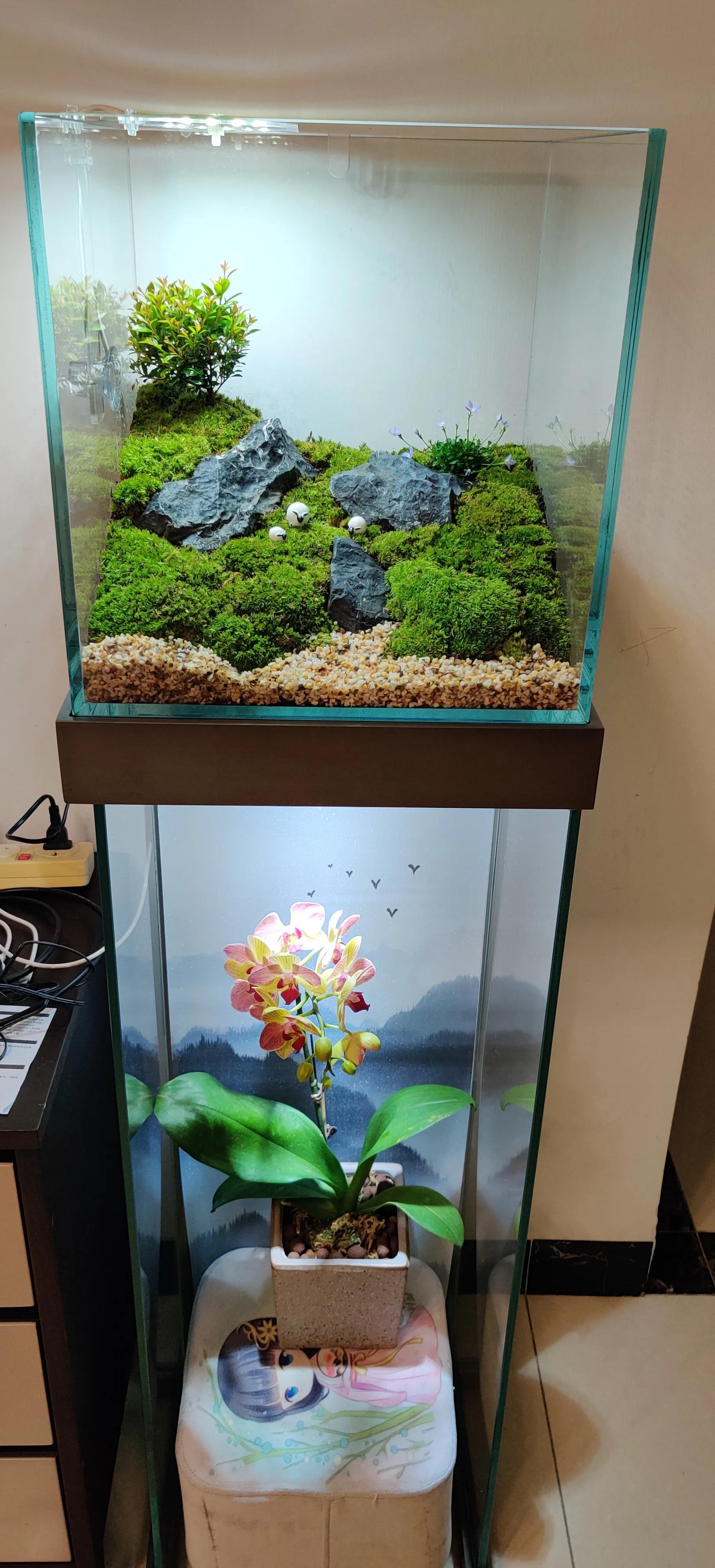 手机柜台展示柜新型,手机展示柜改造翻新创意