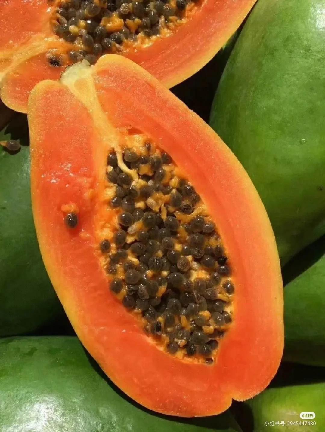 共享黄肉甜蜜——海南黄肉木瓜种植前景、技巧与收益分析