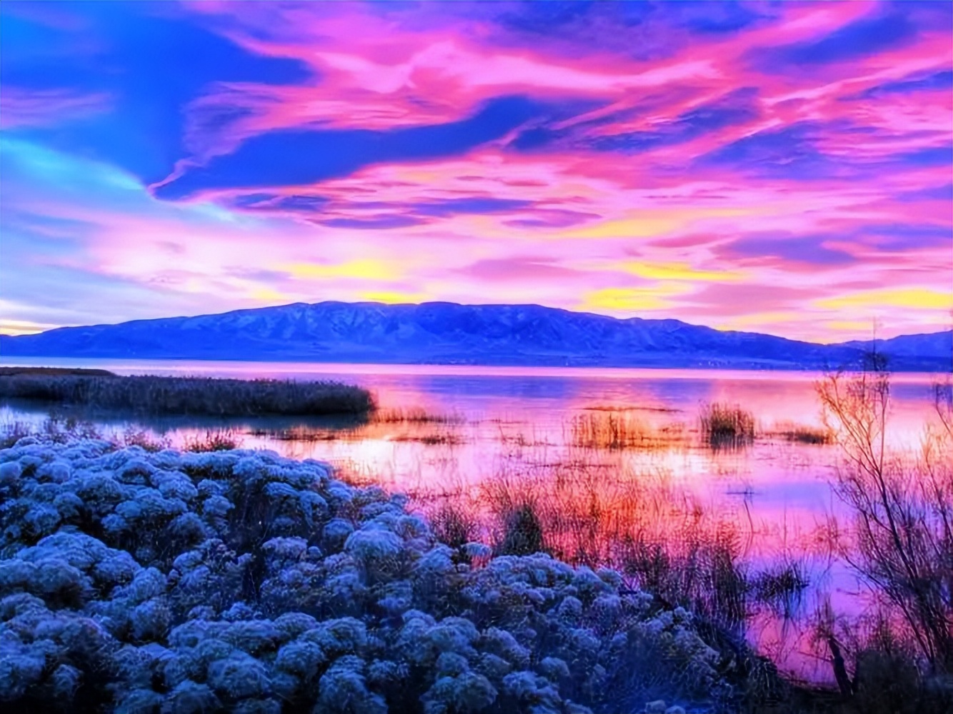 最好的友谊是相互鼓励一起成长,交友宣言正能量