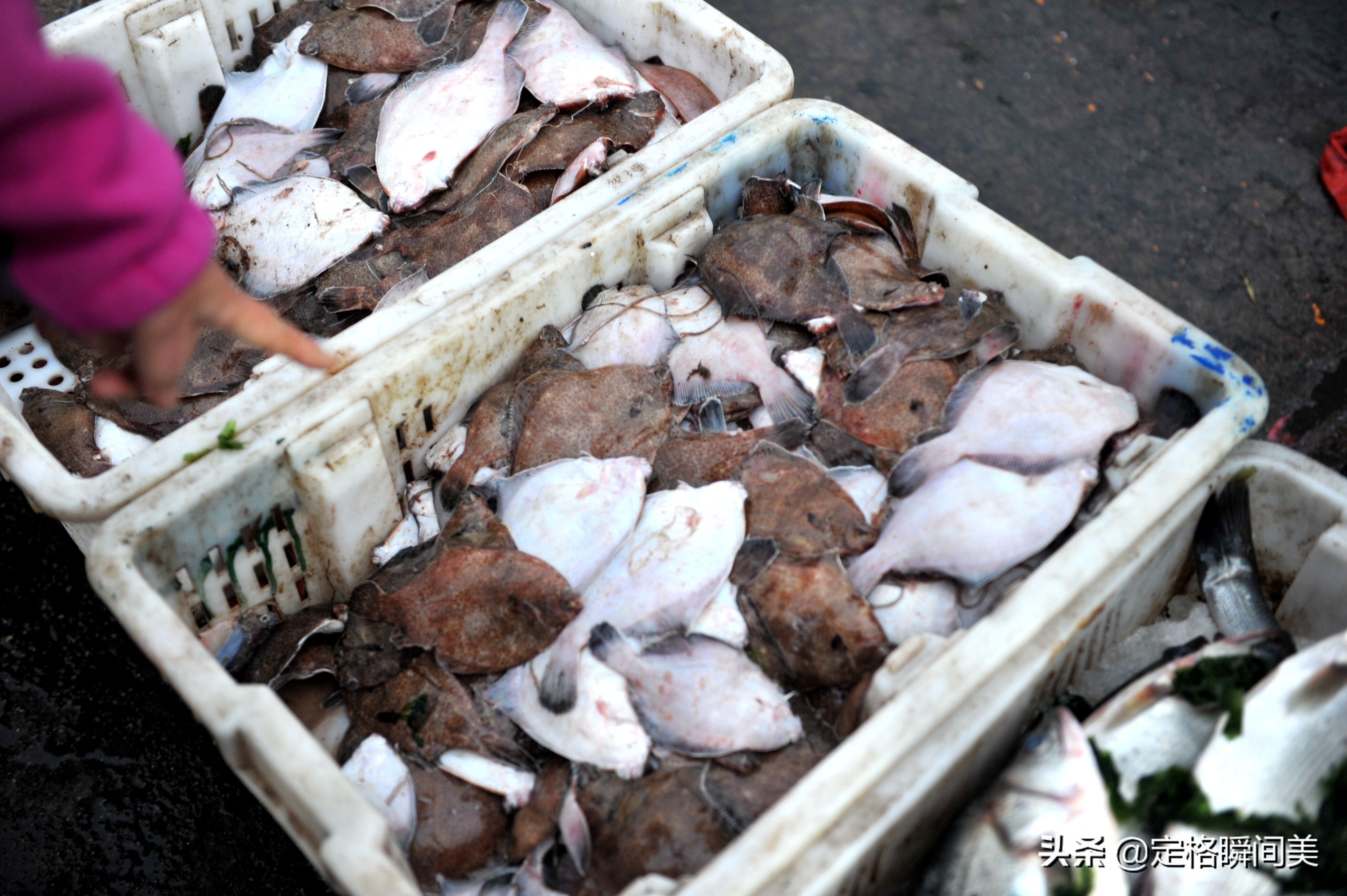 “挣不出饭钱来”，买卖淡季海鲜早市客流量稀少，摊主啃馒头坚持