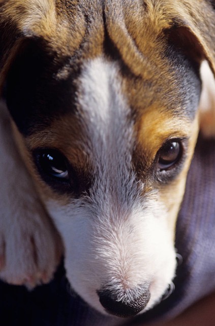 自媒体新手怎么入门怎么赚钱,新手做微头条自媒体怎么赚钱