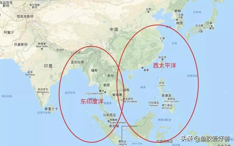 白花胶跟黄花胶的价格,白花胶顶级花胶价格表