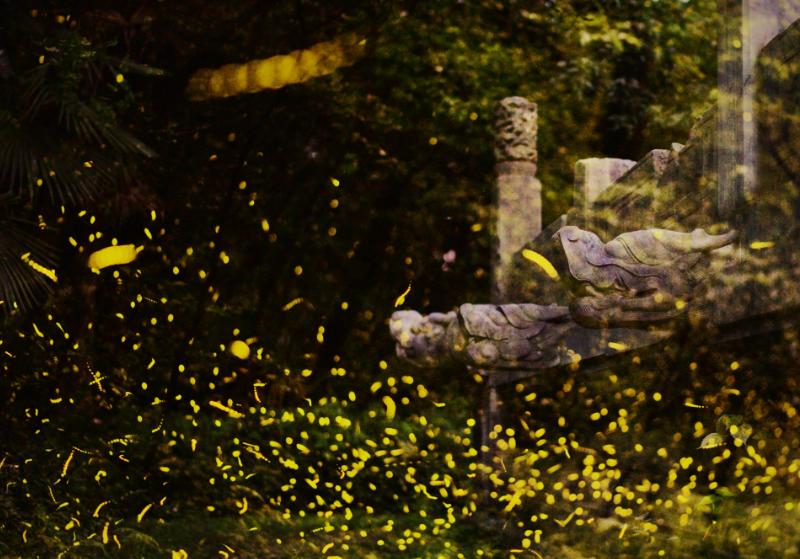 萤火虫夏夜唯美诗句,最美的夜景古诗词