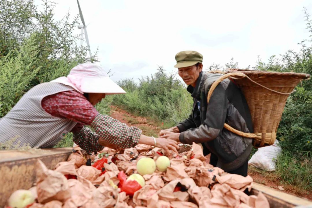 曲靖富源中安街道回隆社区,富源回隆社区怎么样