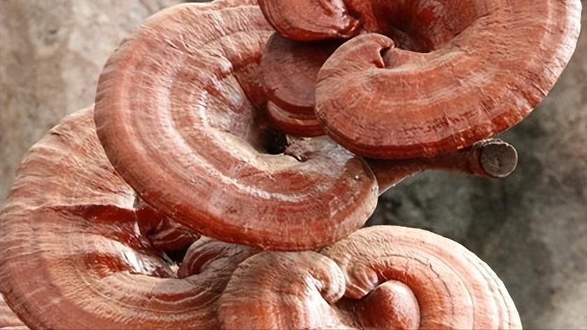 睡觉前身体突然抖一下是怎么回事,睡觉时身体突然抖一下预示什么