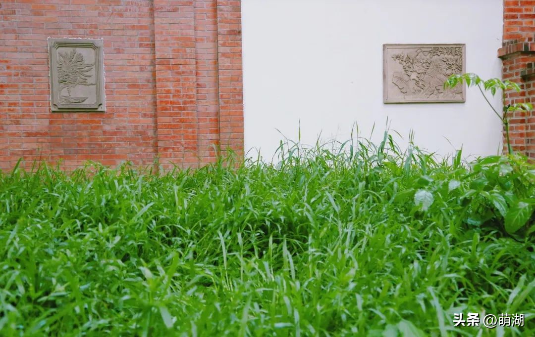 广州旅行打卡文艺街区,广州文艺圣地东山口