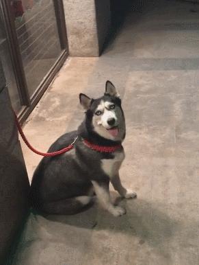 妹子出门太着急,女生出门太急