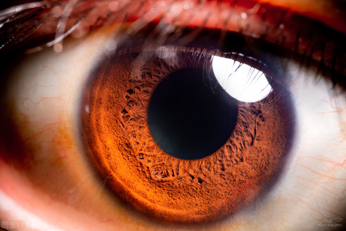 古代人没有近视的吗,古人有近视