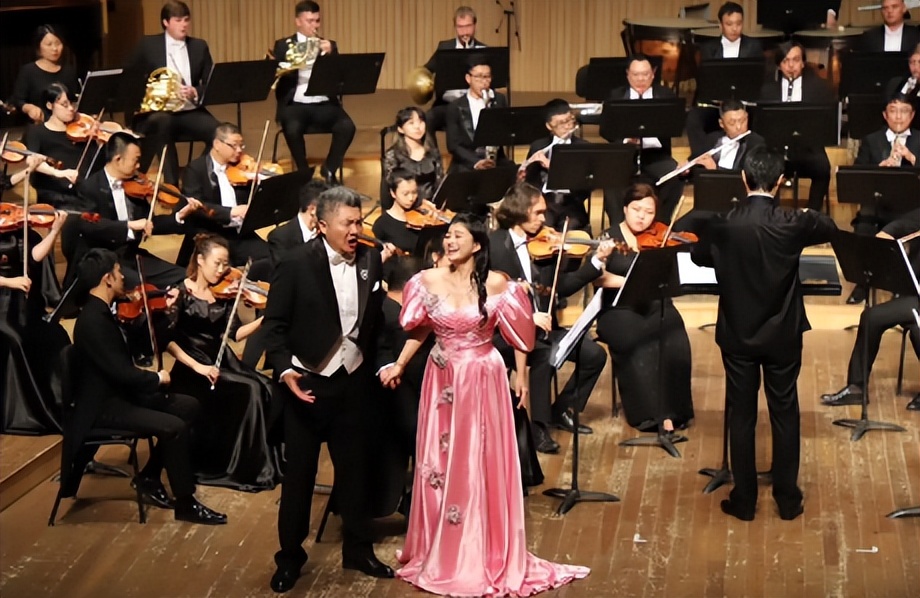 肖邦的风格把握,肖邦曲式分析报告怎么写