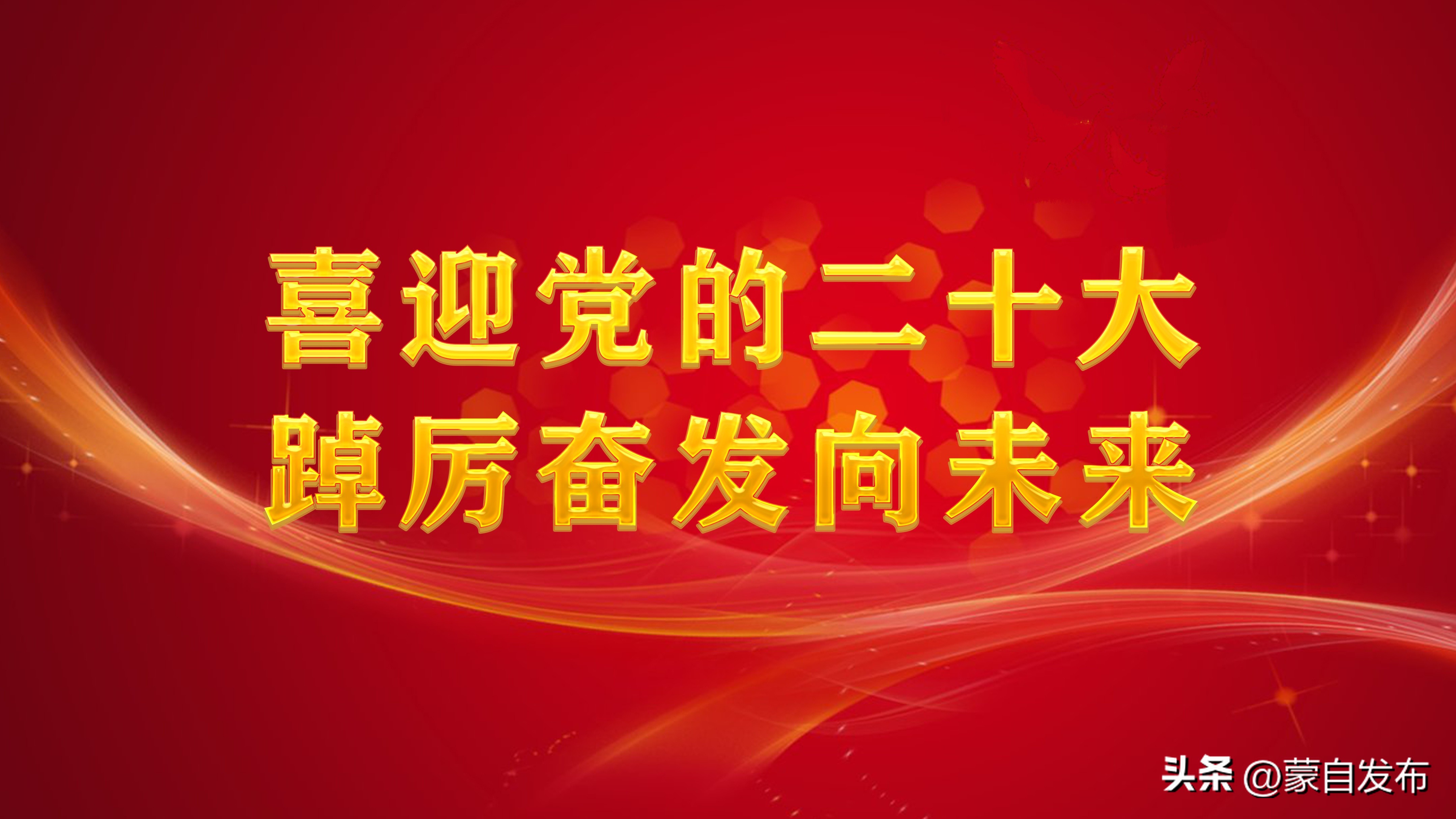 云南出席*党**的二十大代表,背后都有哪些故事?