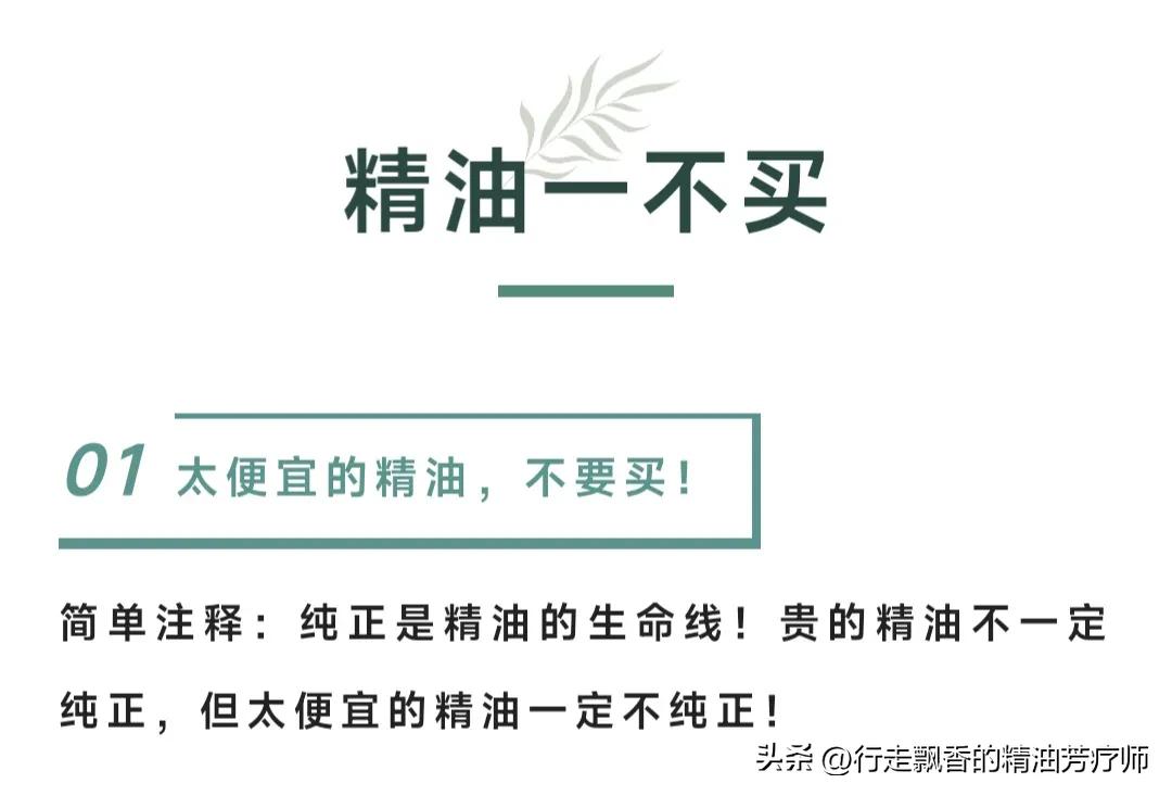 十大入门精油,新手入门精油分类