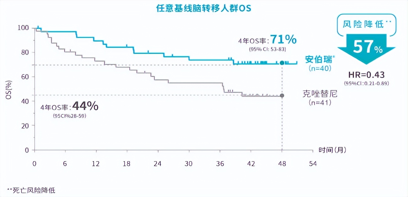 武田布格替尼片,武田布格替尼片价格