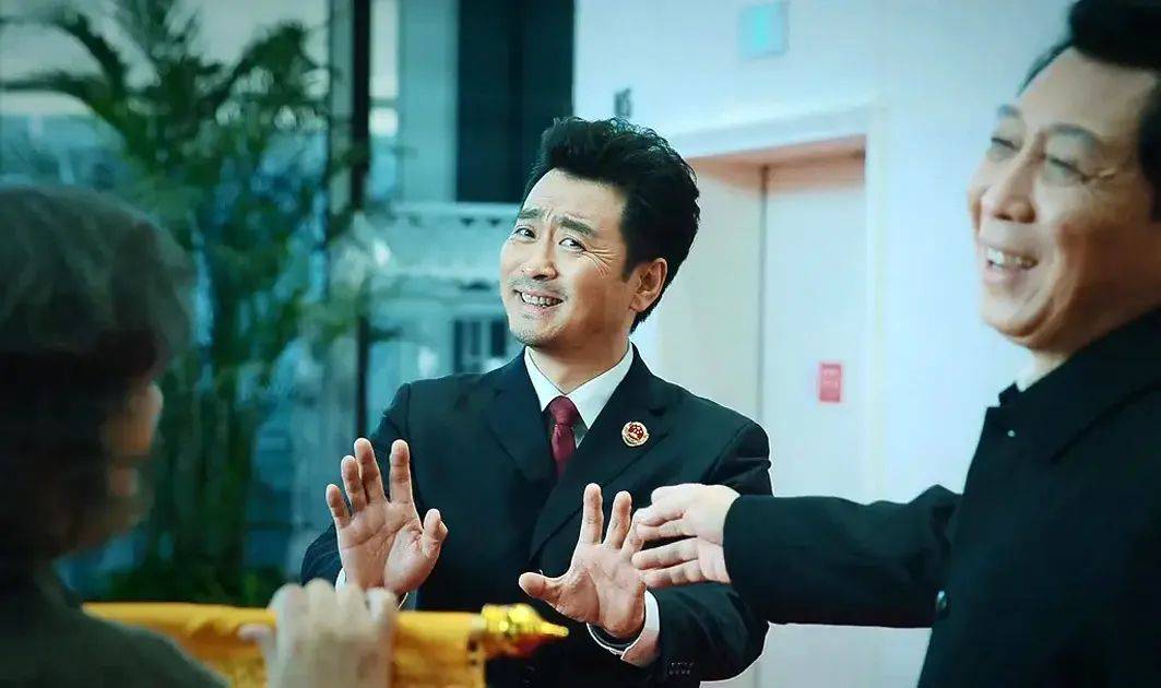 点评电视剧巡回检察组,巡回检察组电视剧一口气看完