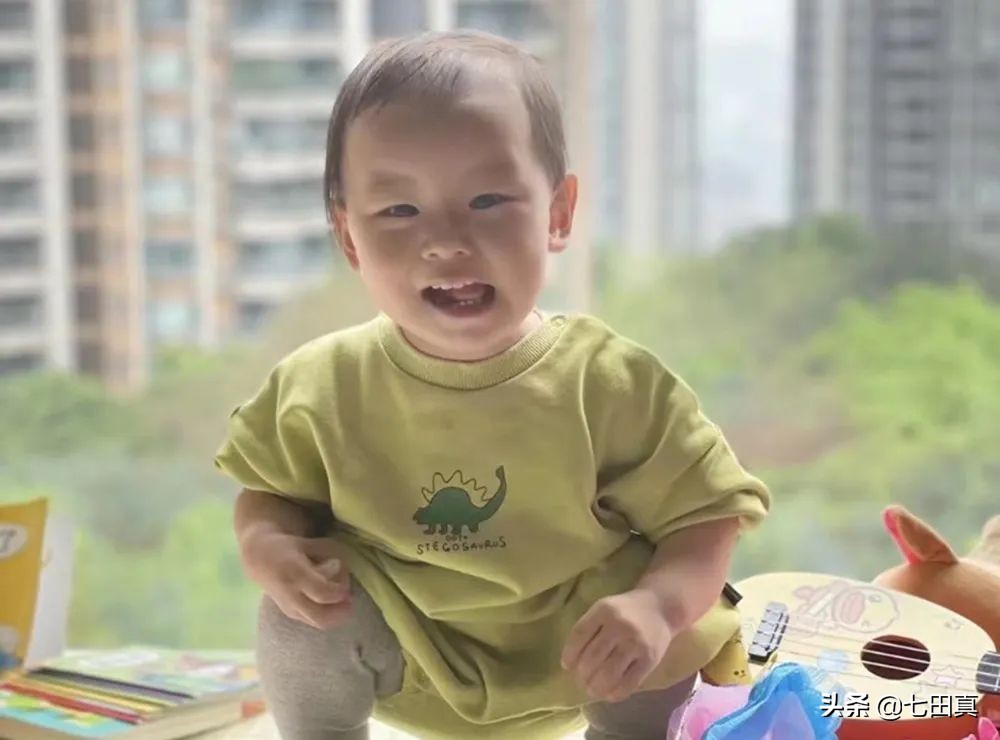 七田真早教教程视频,七田真早教如何