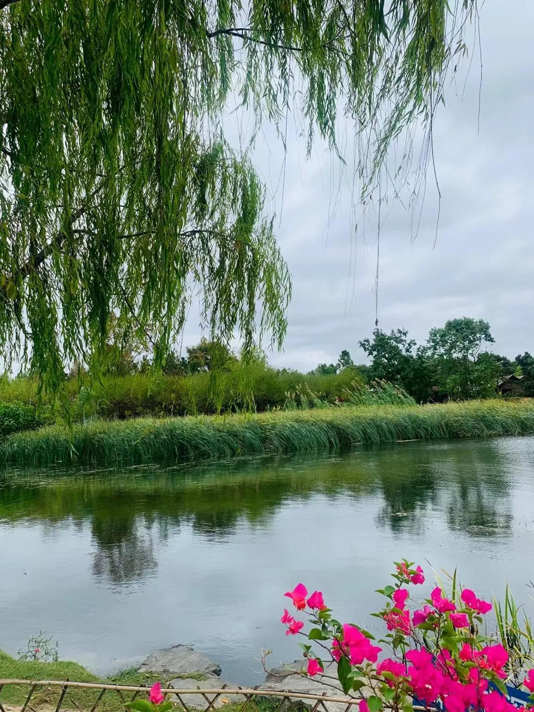 朱昌茂十首经典诗词,朱昌茂的诗句