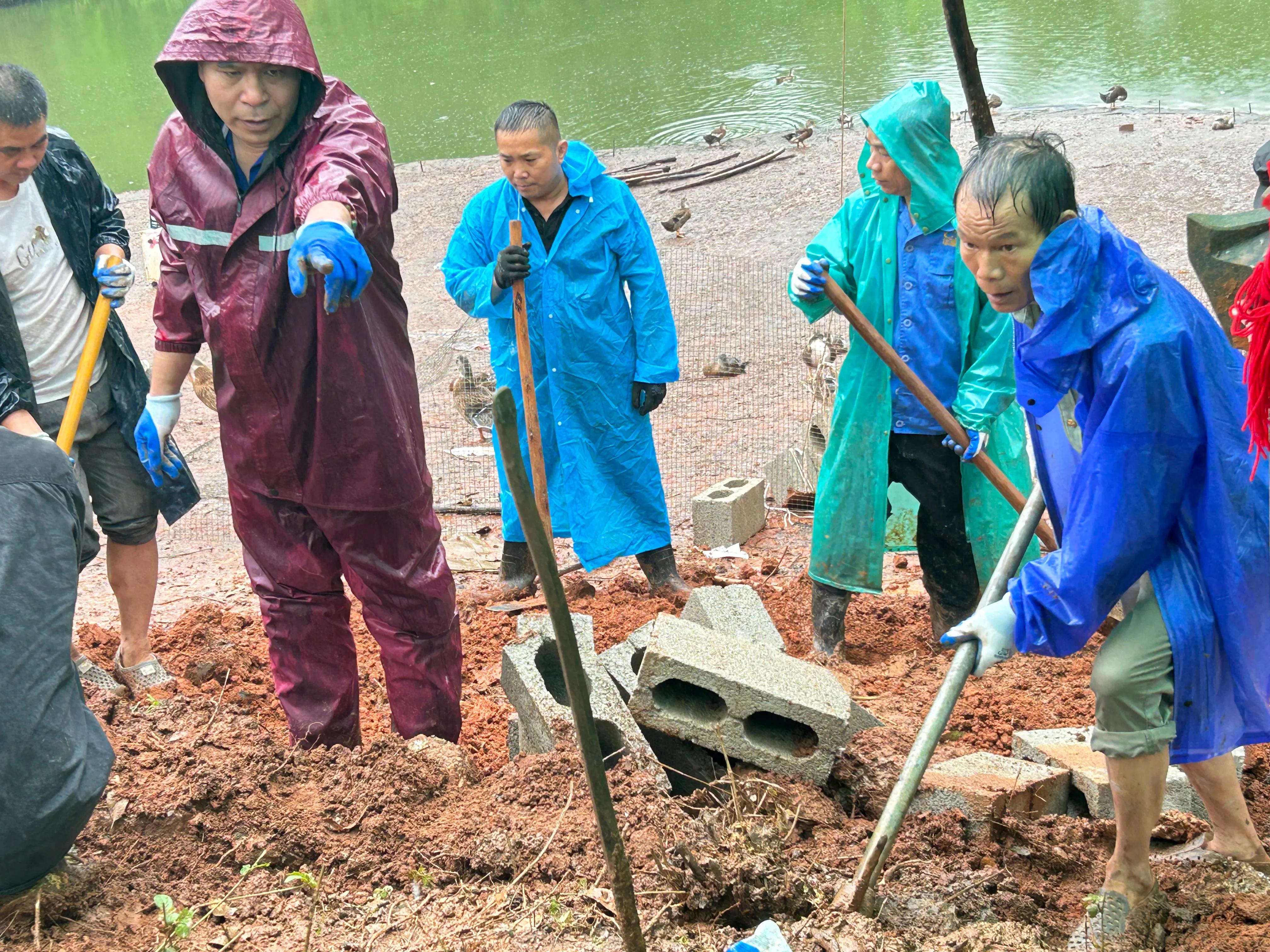 重修应苗公祖墓实录（下）——披荆斩棘凭实干，齐心协力功告成